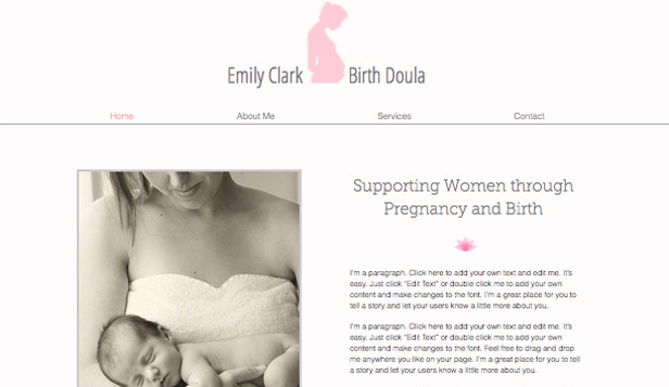 Doulas and midwives